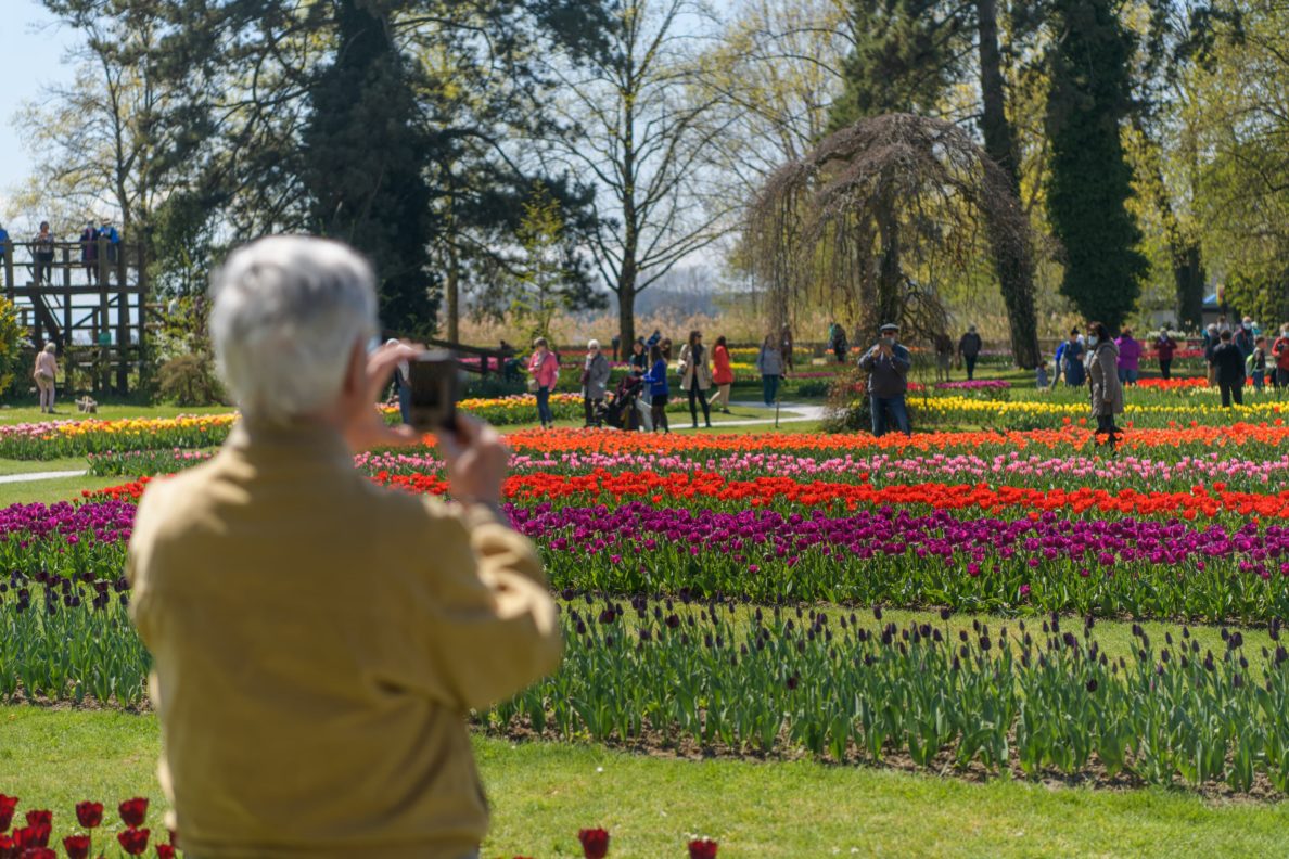 225 000 visiteurs à la Fête de la Tulipe à Morges évalués par l'Observatoire de Vaud Promotion